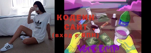 ПСИЛОЦИБИНОВЫЕ ГРИБЫ Вязьма