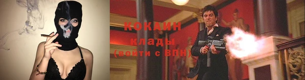 ПСИЛОЦИБИНОВЫЕ ГРИБЫ Вязьма