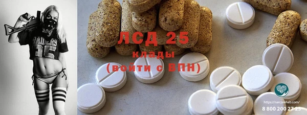 ПСИЛОЦИБИНОВЫЕ ГРИБЫ Вязьма