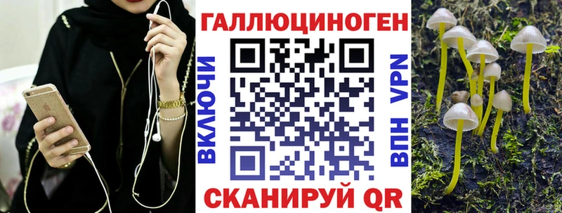 Псилоцибиновые грибы Psilocybe  Зубцов 